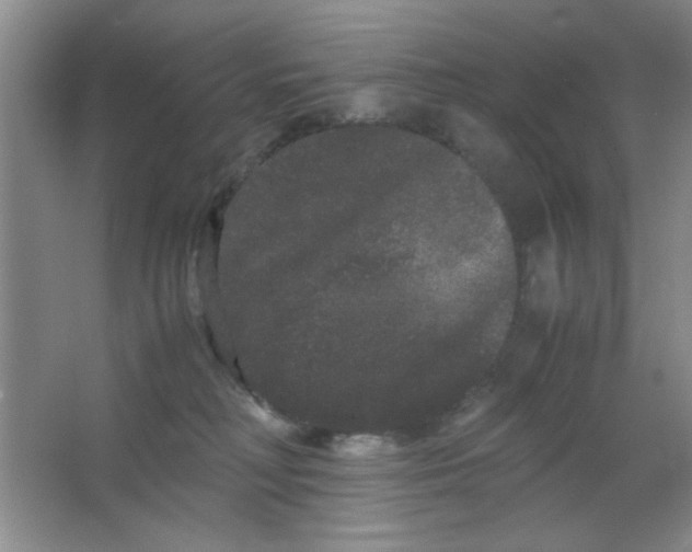 X0000063500230200602101907