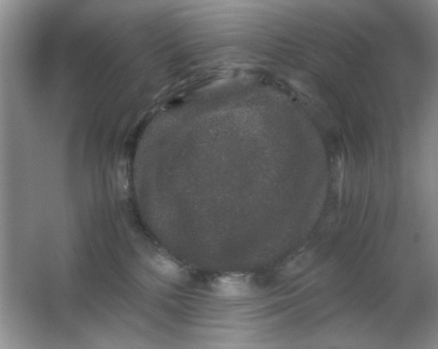 X0000063500232200602101907