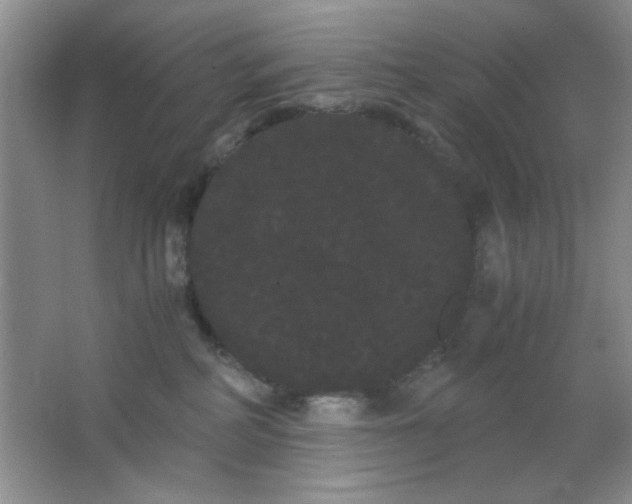 X0000063500234200602101907