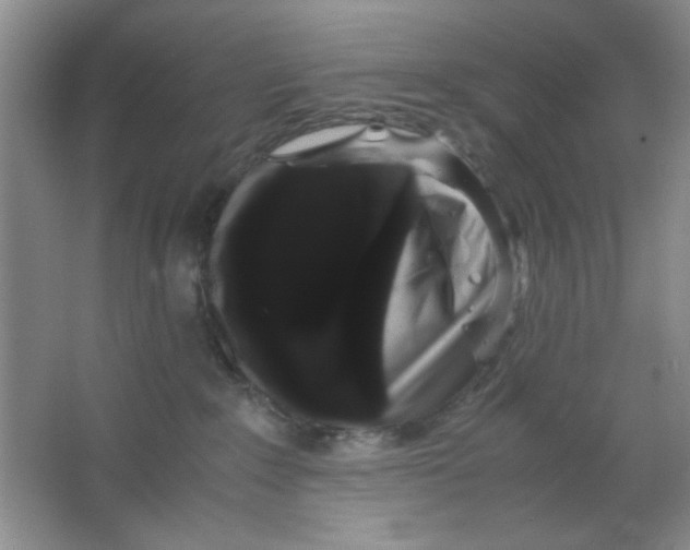 X0000063500235200602101907