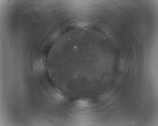 X0000063500236200602101907