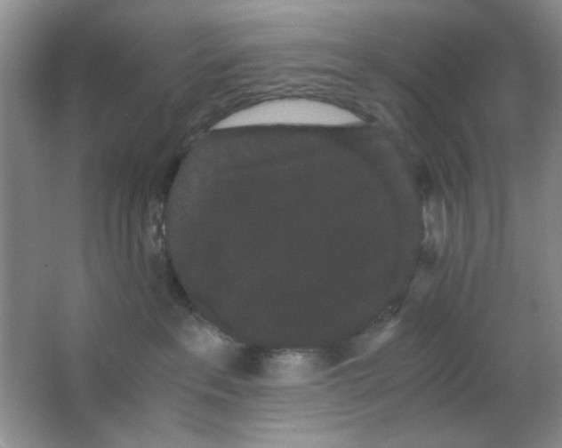 X0000063500237200602101907