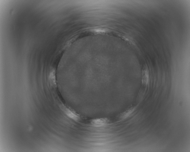 X0000063500238200602101907