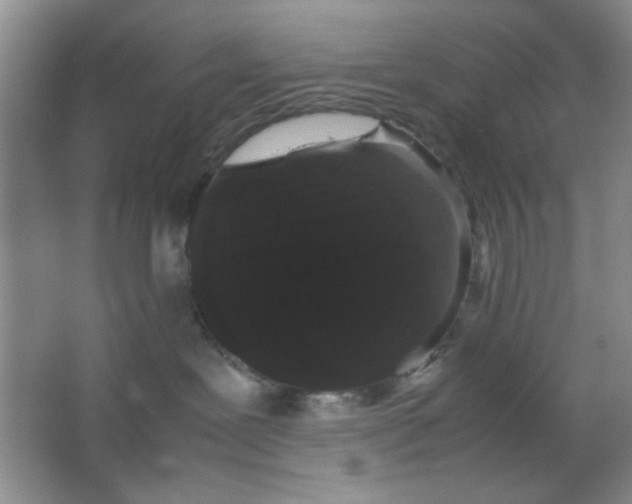 X0000063500239200602101907