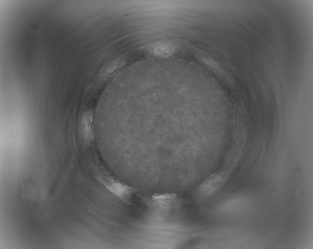 X0000063500240200602101907