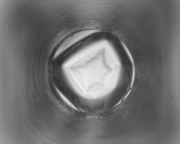 X0000063500242200602101906