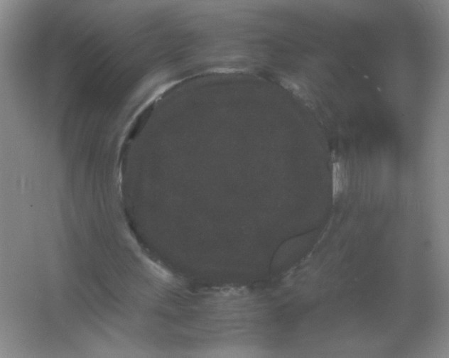 X0000063500243200602101906