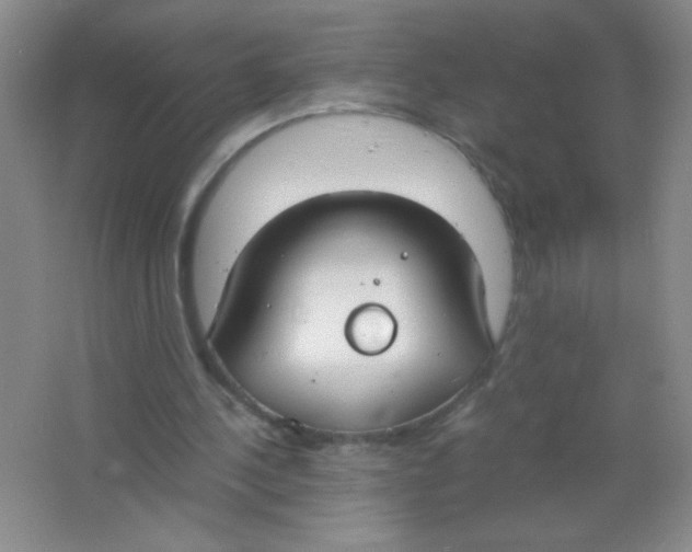 X0000063500244200602101906