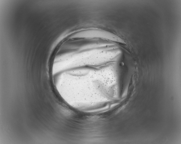 X0000063500246200602101906