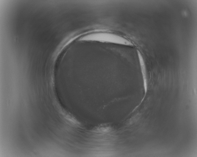 X0000063500247200602101906