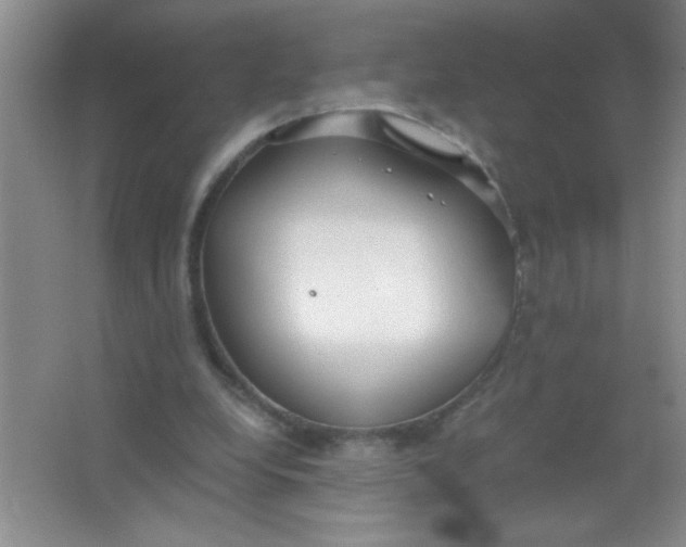 X0000063500248200602101906