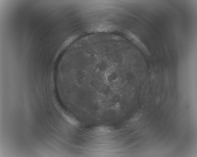 X0000063500250200602101906