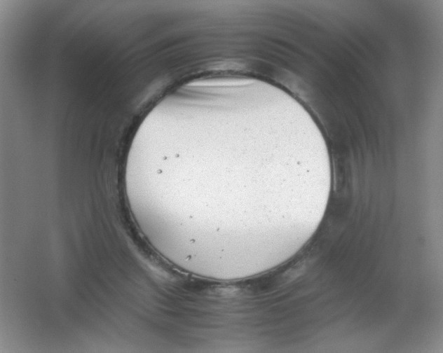 X0000063500253200602101907