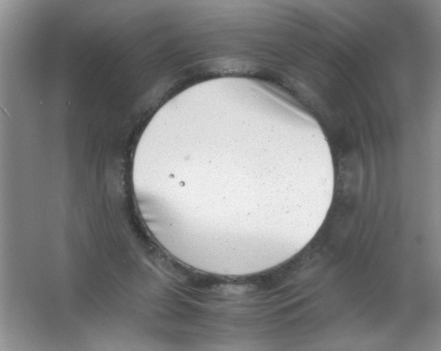 X0000063500255200602101907