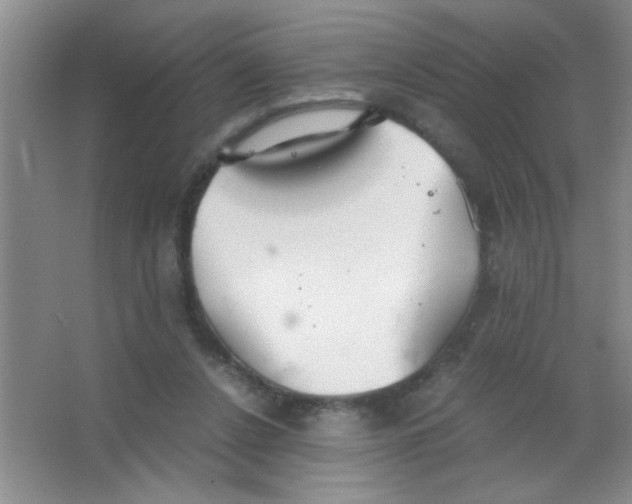 X0000063500256200602101907