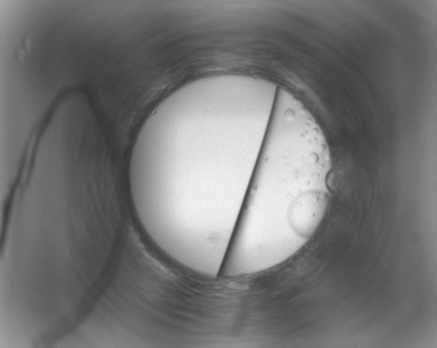 X0000063500257200602101907