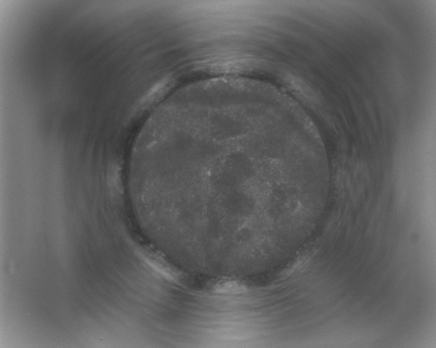 X0000063500258200602101907