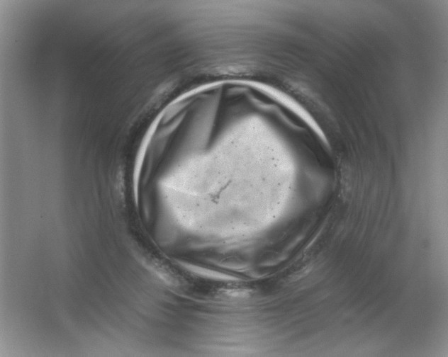 X0000063500260200602101907