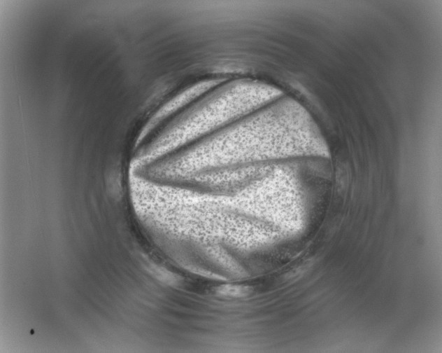 X0000063500261200602101907