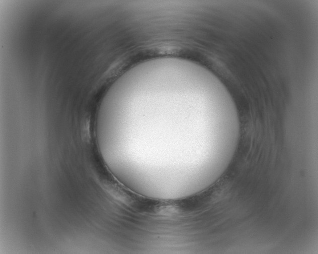 X0000063500262200602101907