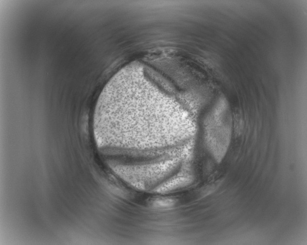 X0000063500263200602101907