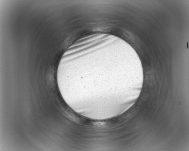 X0000063500265200602101907