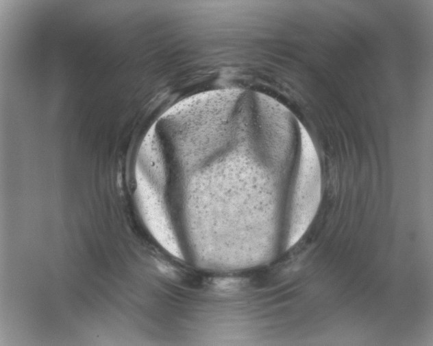 X0000063500268200602101907