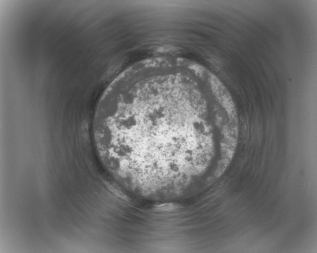 X0000063500269200602101907