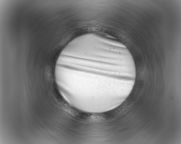 X0000063500270200602101907