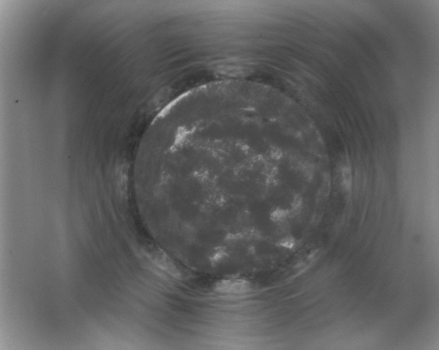 X0000063500271200602101907