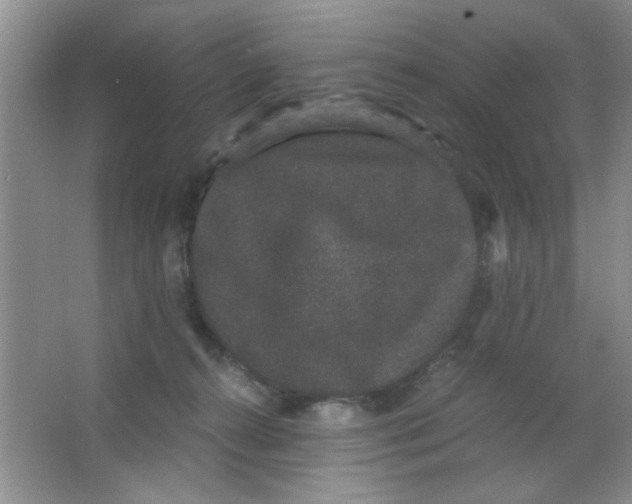 X0000063500272200602101907