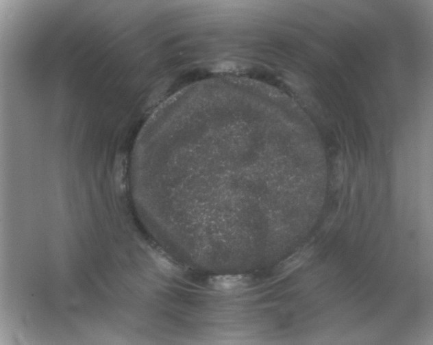 X0000063500273200602101907