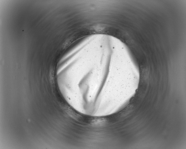 X0000063500274200602101907