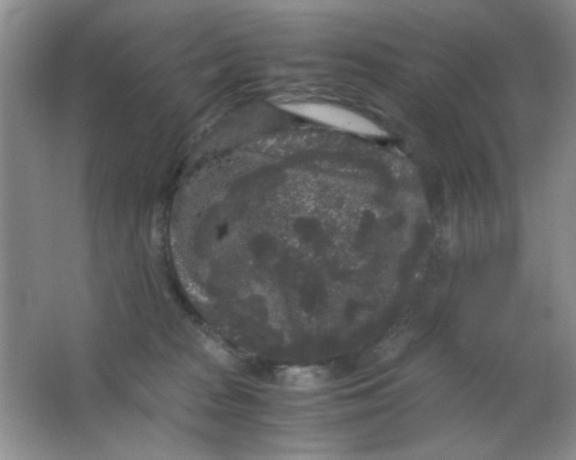 X0000063500277200602101907