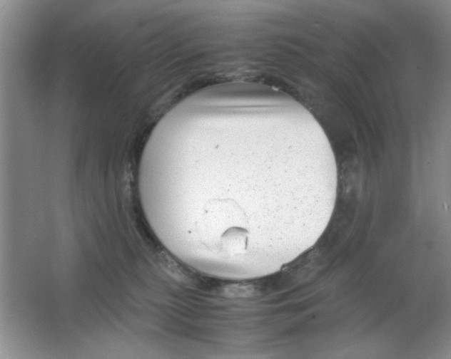 X0000063500279200602101907