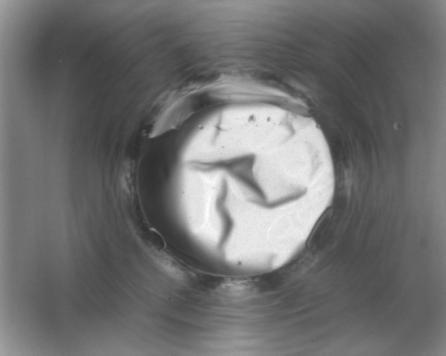 X0000063500280200602101907