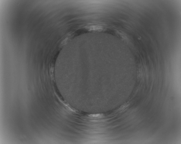 X0000063500281200602101907