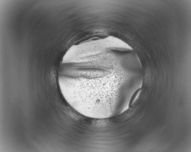 X0000063500282200602101907