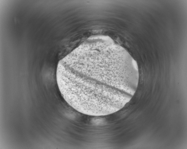 X0000063500283200602101907