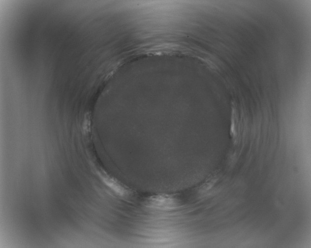 X0000063500284200602101907