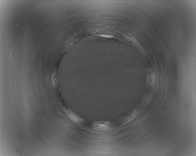 X0000063500285200602101907