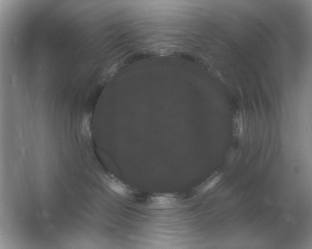 X0000063500286200602101907