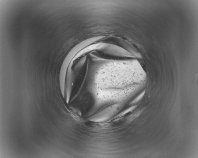 X0000063500288200602101907