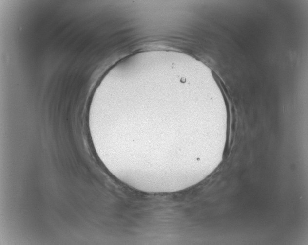 X0000063500289200602101906