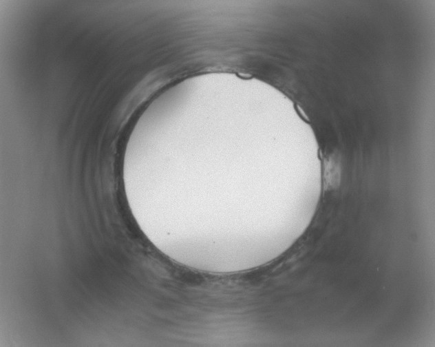 X0000063500291200602101906