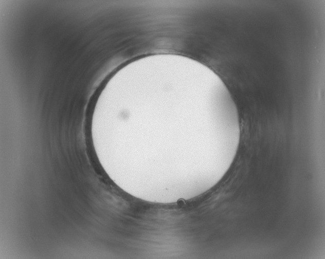 X0000063500292200602101906