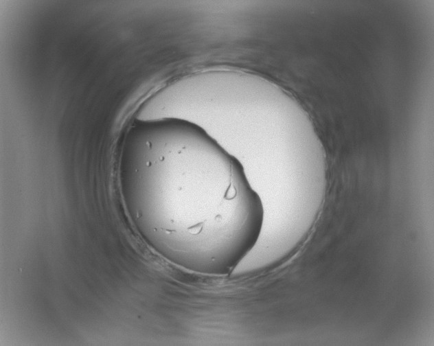 X0000063500293200602101906