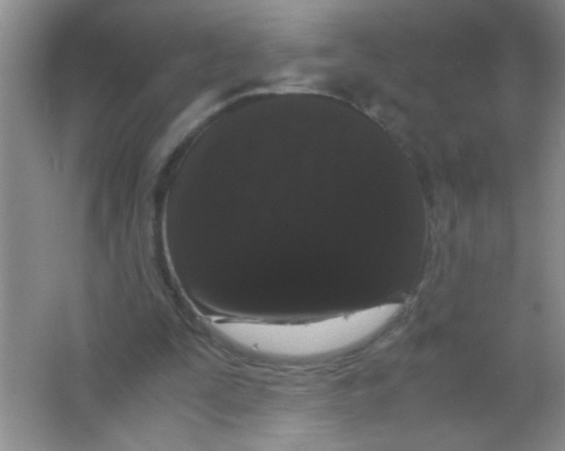 X0000063500295200602101906