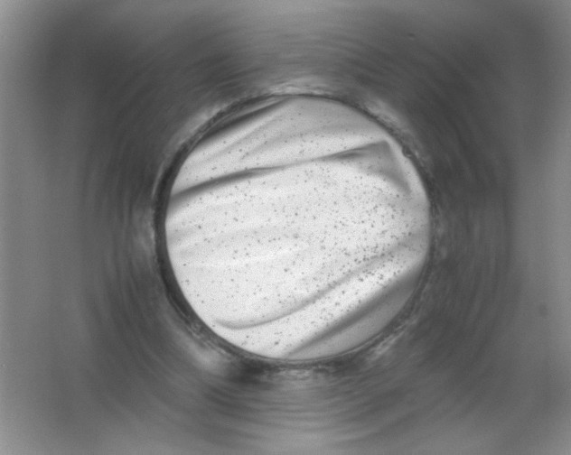 X0000063500298200602101906