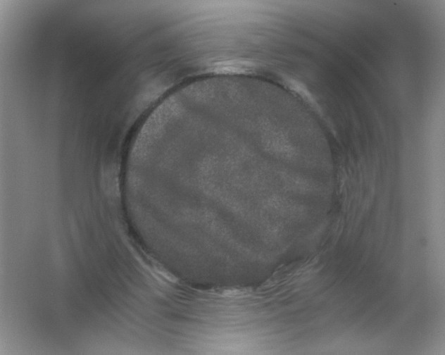 X0000063500299200602101906